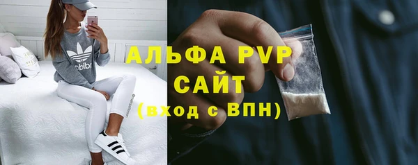 хмурый Липки