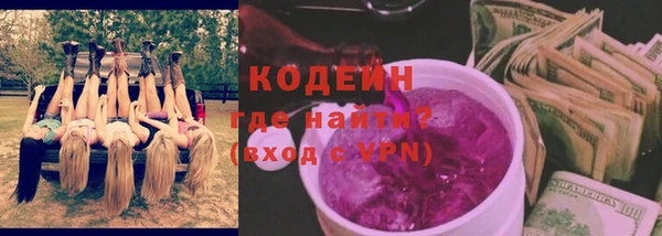 хмурый Липки
