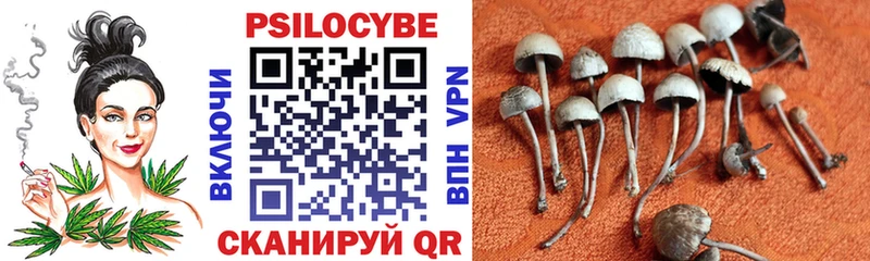 закладки  Каменск-Уральский  Псилоцибиновые грибы прущие грибы 